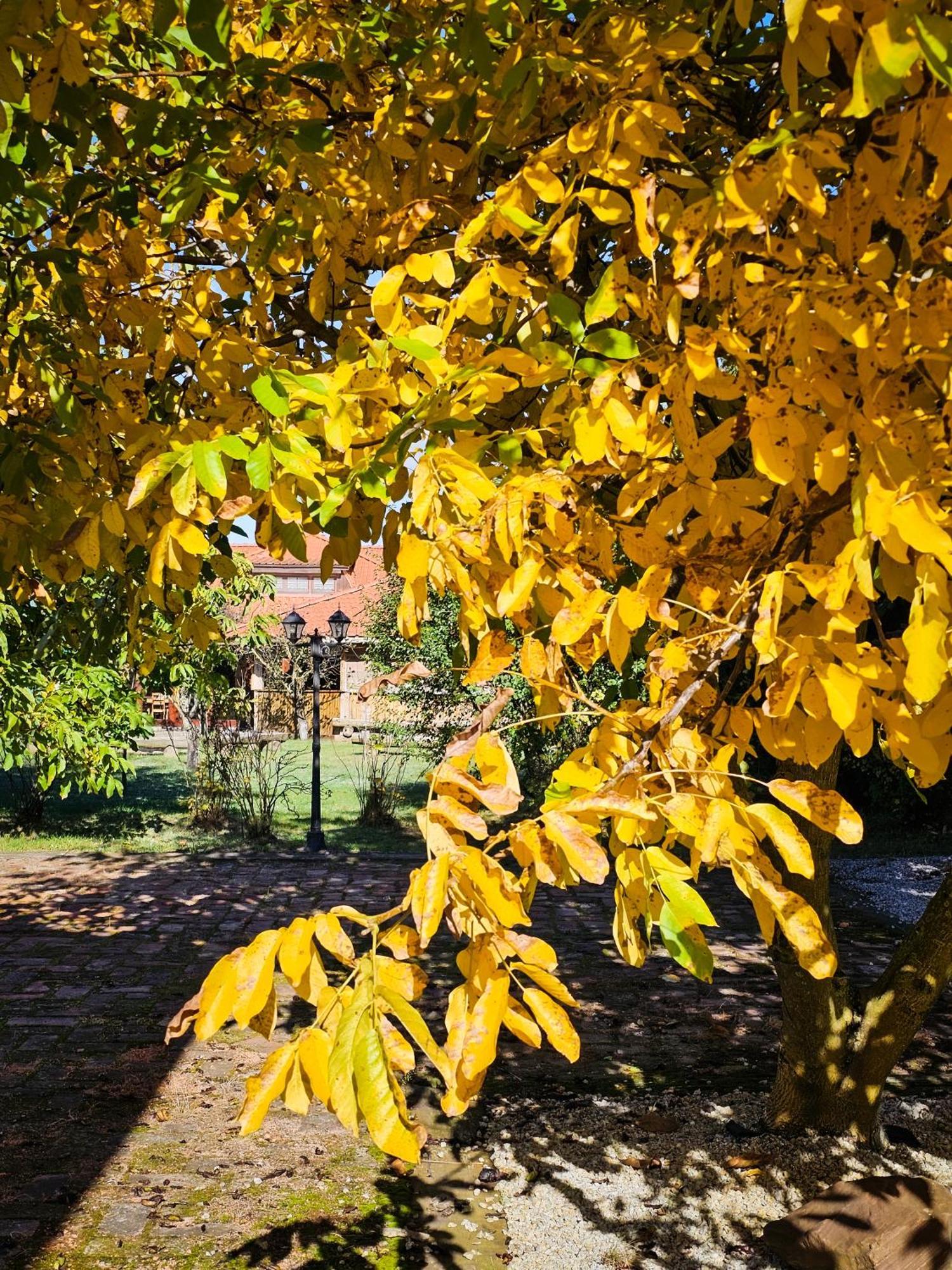 Gościniec Gryszczeniówka Wargowo Exterior foto